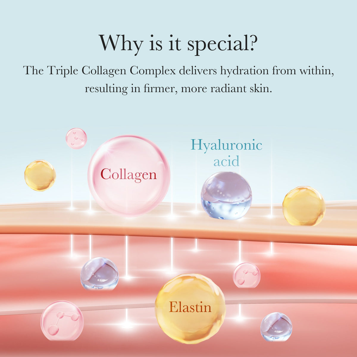 triple-collagen-cream-t8 04_8e4e330d-7d9c-4ff0-93ec-ea541093220c.jpg